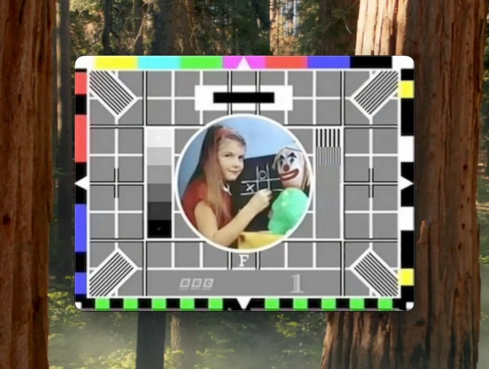 Webcam preview showing BBC test card